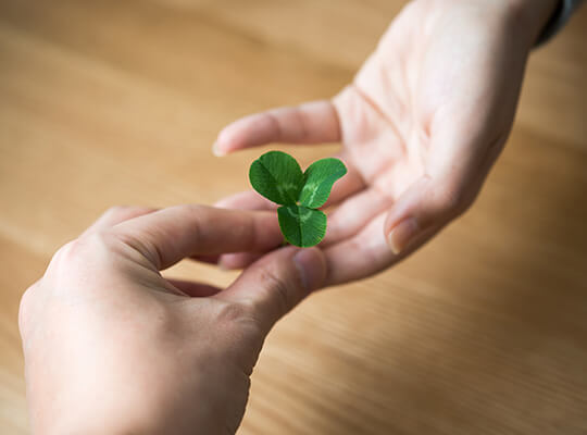 集団プログラム