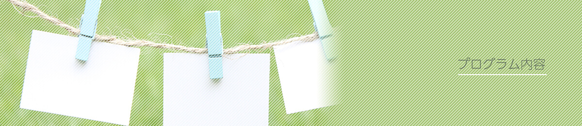 プログラム内容